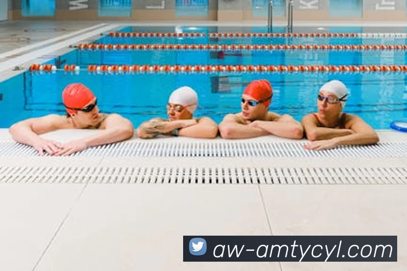 太阳城平台发展历程